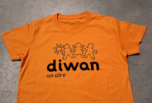 T-shirts pour l'école Diwan d'Auray