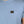 T-shirt poche cœur bleu denim Homme STERED