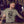 T-shirt Tigre des Mers Olive Homme STERED