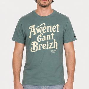 T-shirt Awenet Gant Breizh vert Homme STERED