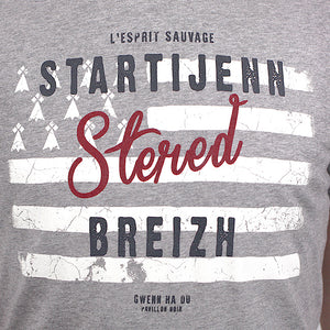 T-shirt Startijenn Drapeau Gris Clair